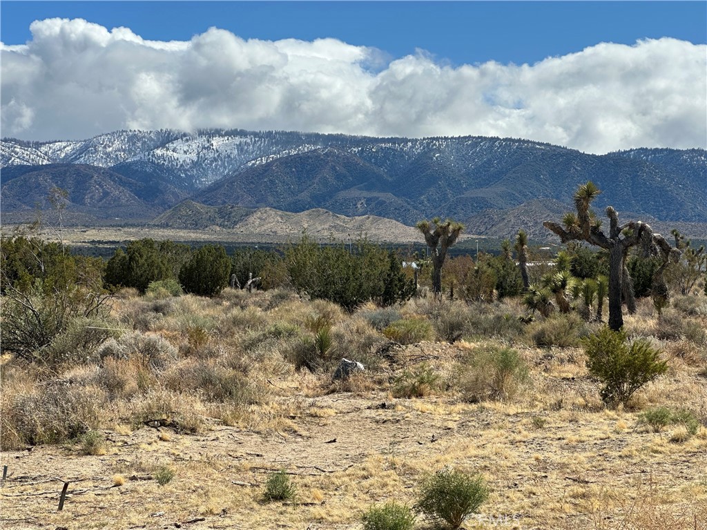 0 263rd Street East Llano, CA 93544 - Photo 9 of 14 a view of a lake with a mountain in the background