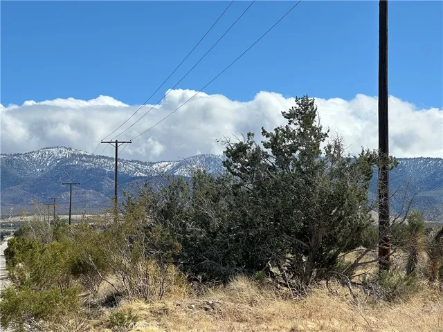 a close view of light fixtures and tree in the background