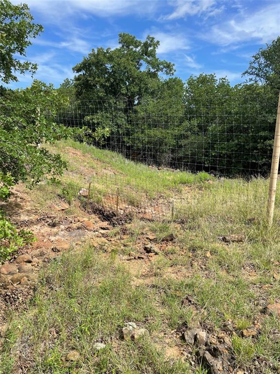 31.09-ac Hoefle Road Jacksboro, TX 76458 - Photo 11 of 33 a view of a yard with a tree