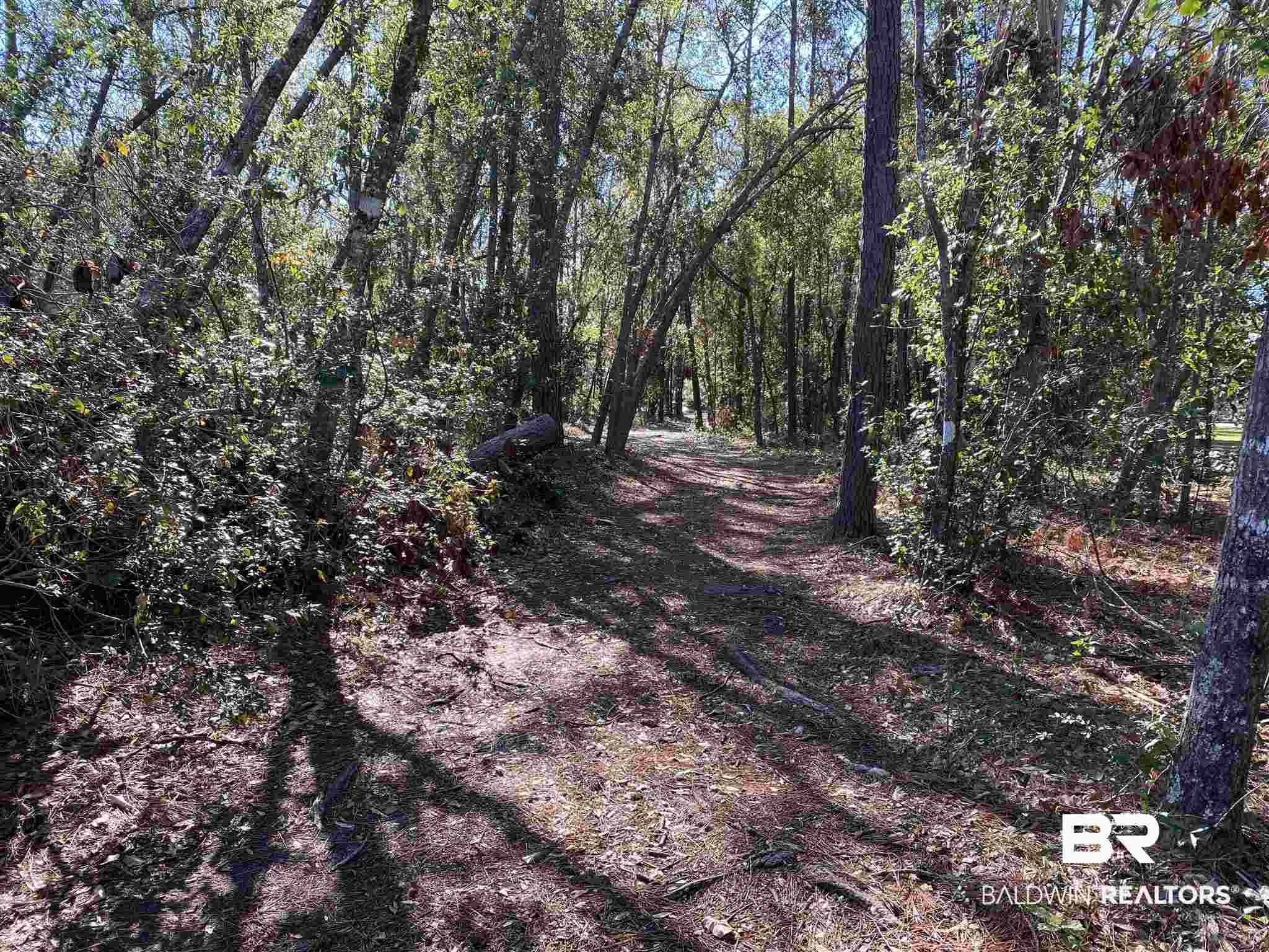 18765 Pine Acres Road Gulf Shores, AL 36542 - Photo 42 of 47 Gallery Image 42
