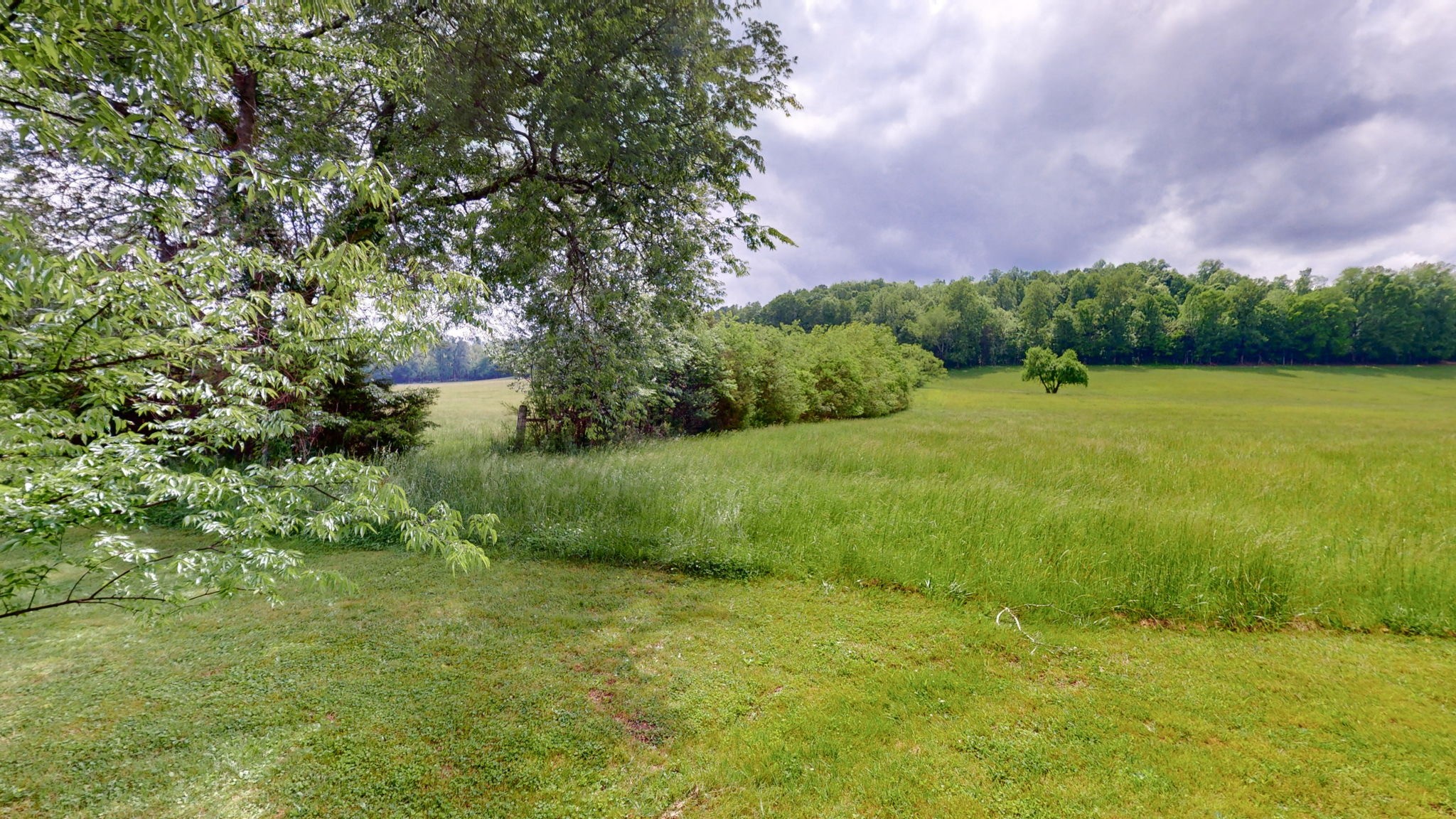 171 Golden Hollow Road Kelso, TN 37348 - Photo 3 of 49 Gallery Image 3