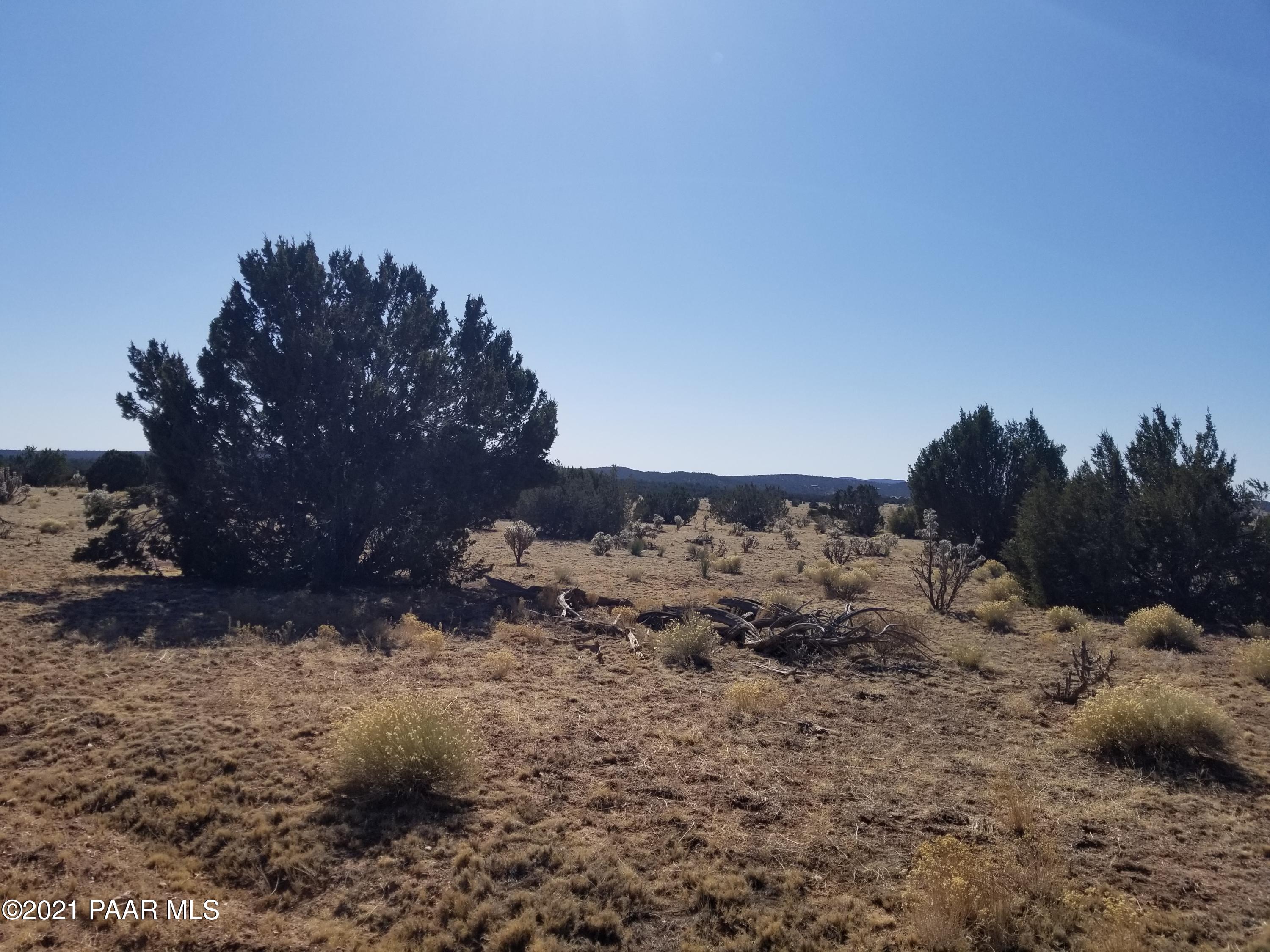 363 Antelope Valley Ranch Seligman, AZ 86337 - Photo 1 of 1 a view of a dry yard with lots of trees