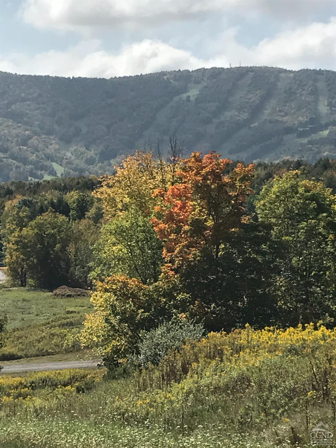 63 Windham Ridge Road, Unit 16C Windham, NY 12496 - Photo 6 of 22 Photo 5