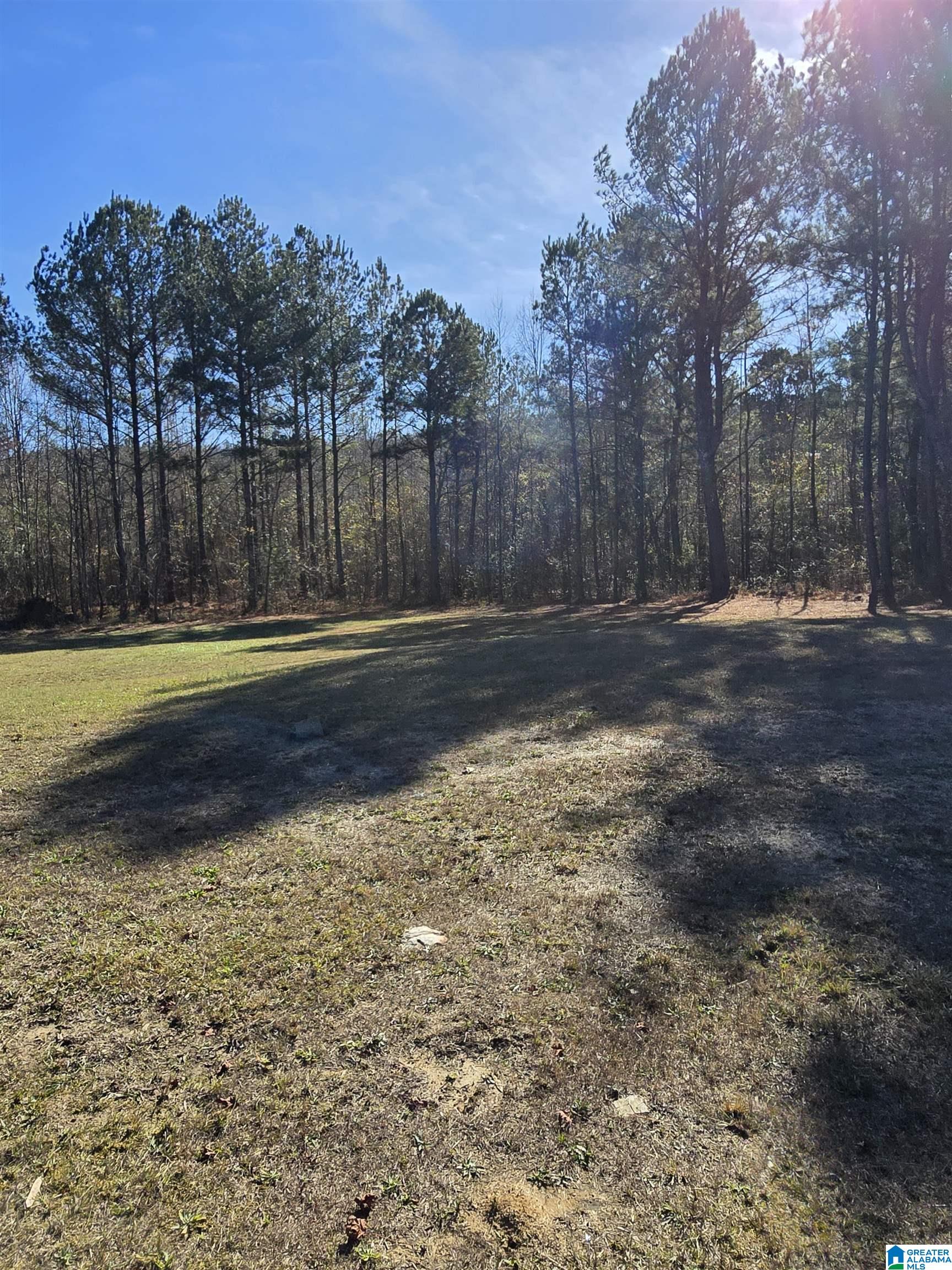 4850 Shoal Creek Road, Unit ACREAGE Ashville, AL 35953 - Photo 3 of 18