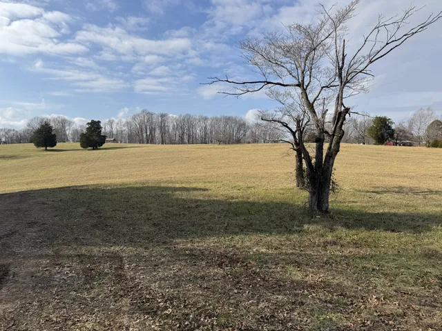 $320,000 | 0 Wilson Hollow Road, Dickson, TN 37055