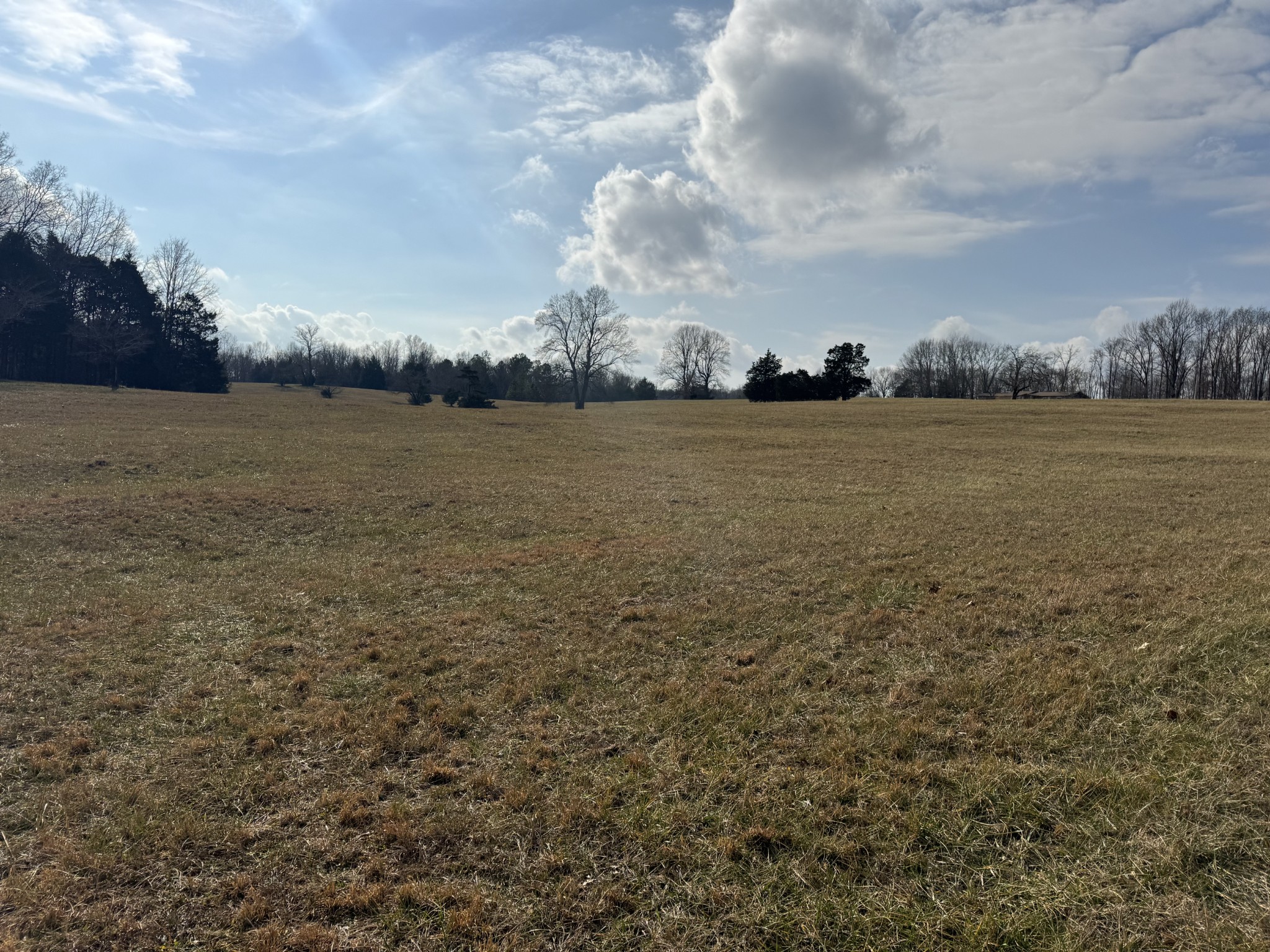 0 Wilson Hollow Road Dickson, TN 37055 - Photo 3 of 11