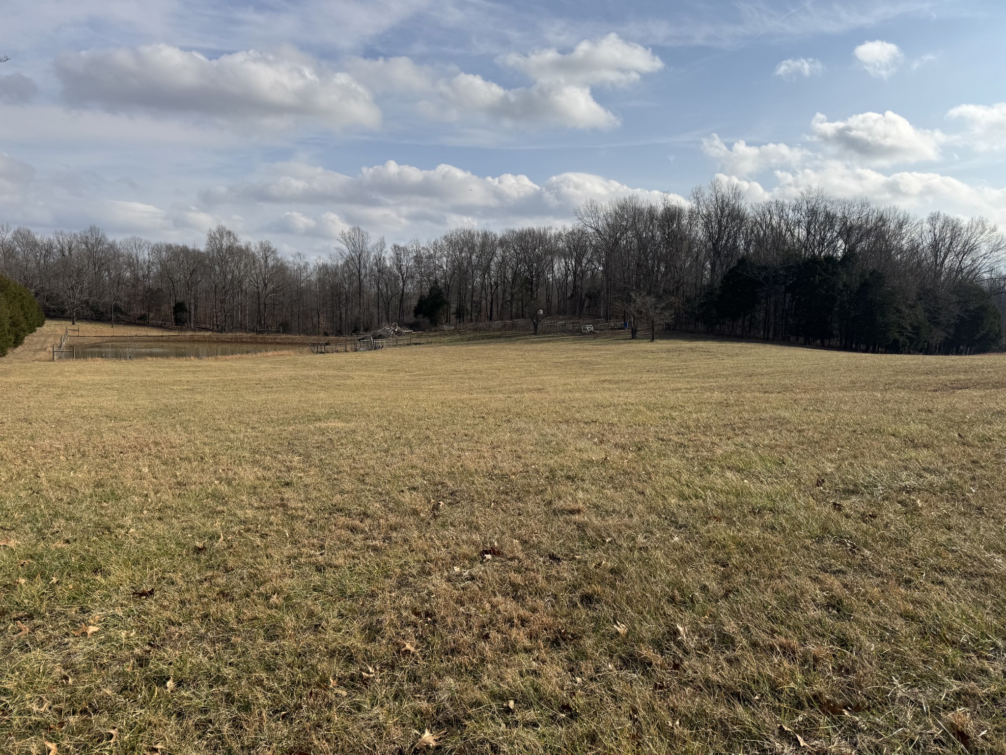 0 Wilson Hollow Road Dickson, TN 37055 - Photo 4 of 11