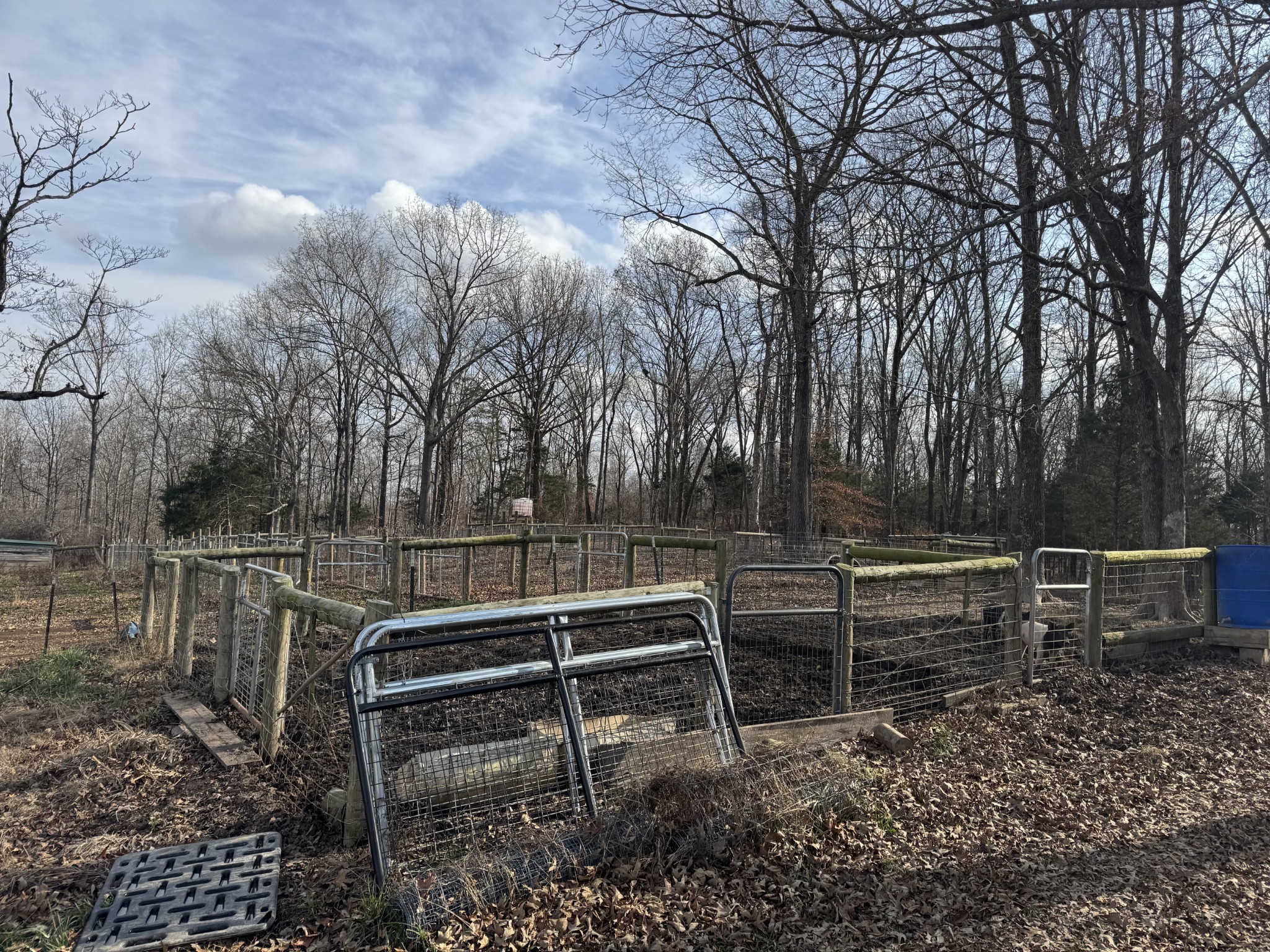 0 Wilson Hollow Road Dickson, TN 37055 - Photo 5 of 11