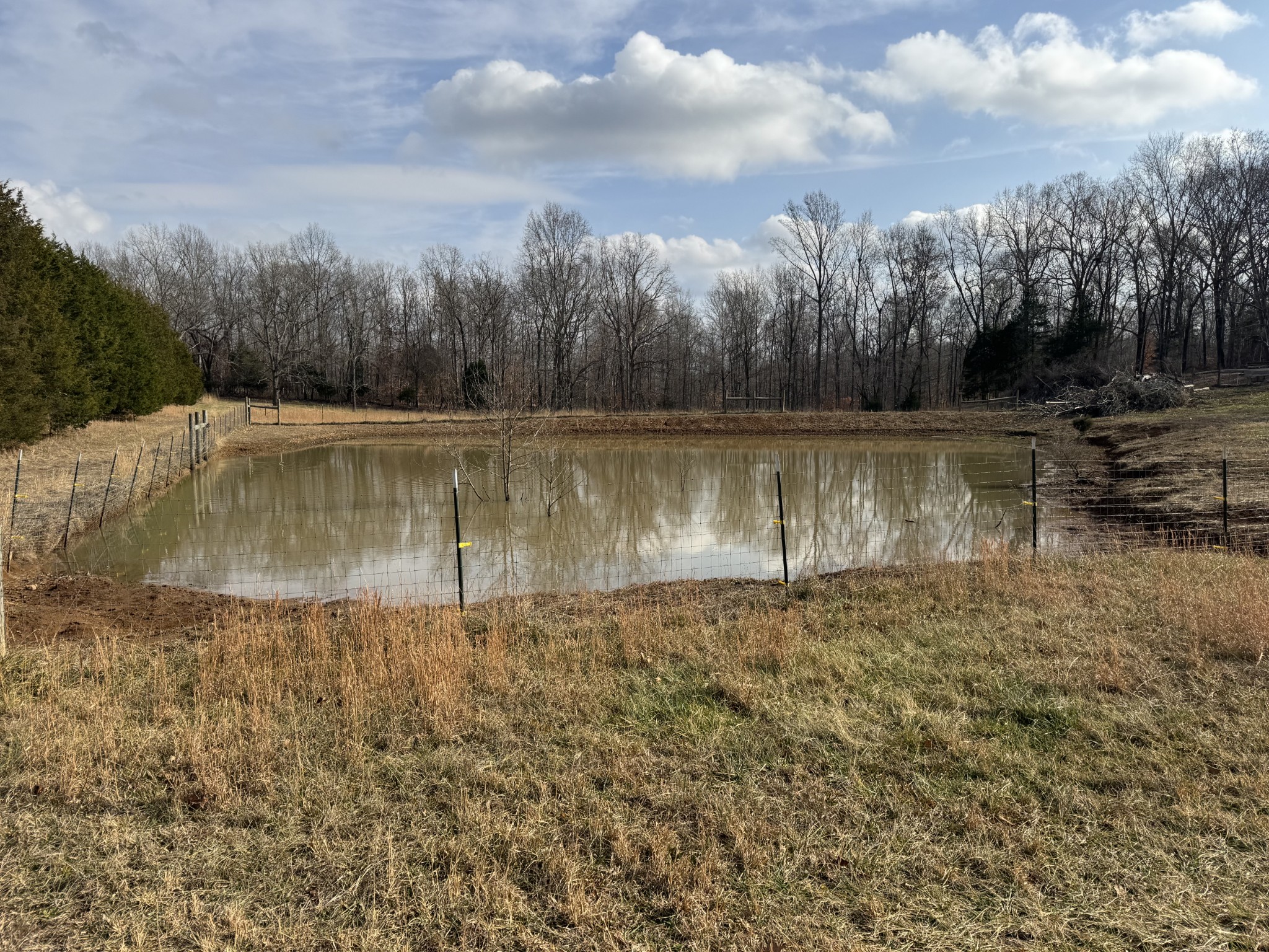 0 Wilson Hollow Road Dickson, TN 37055 - Photo 6 of 11