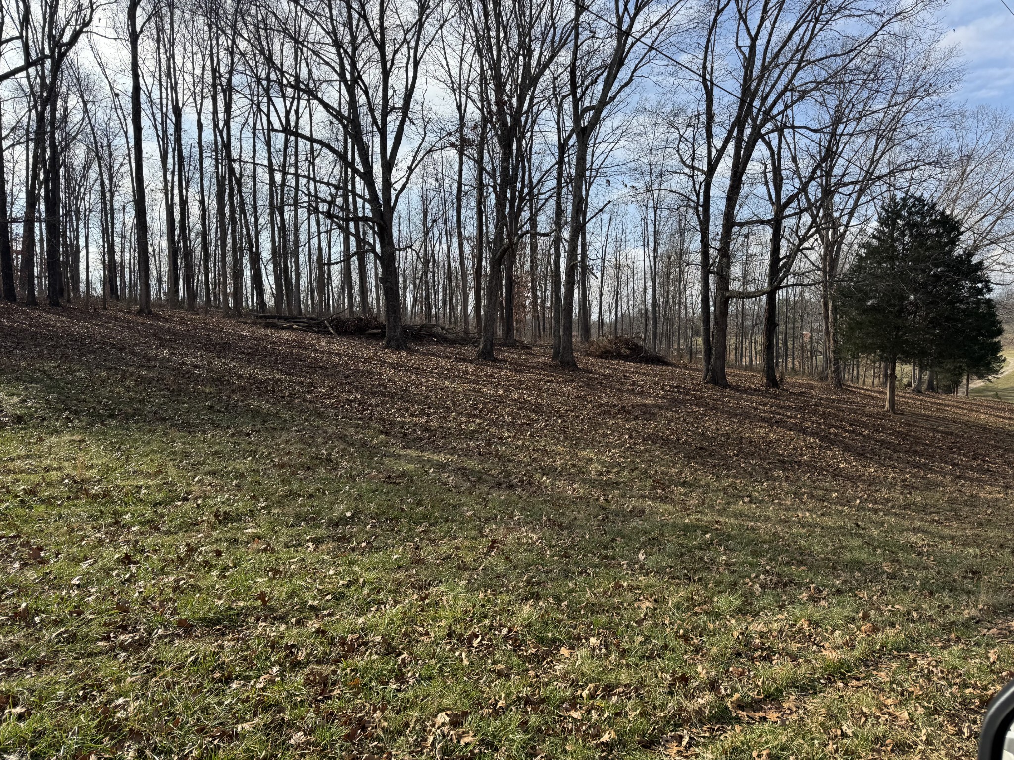 0 Wilson Hollow Road Dickson, TN 37055 - Photo 7 of 11