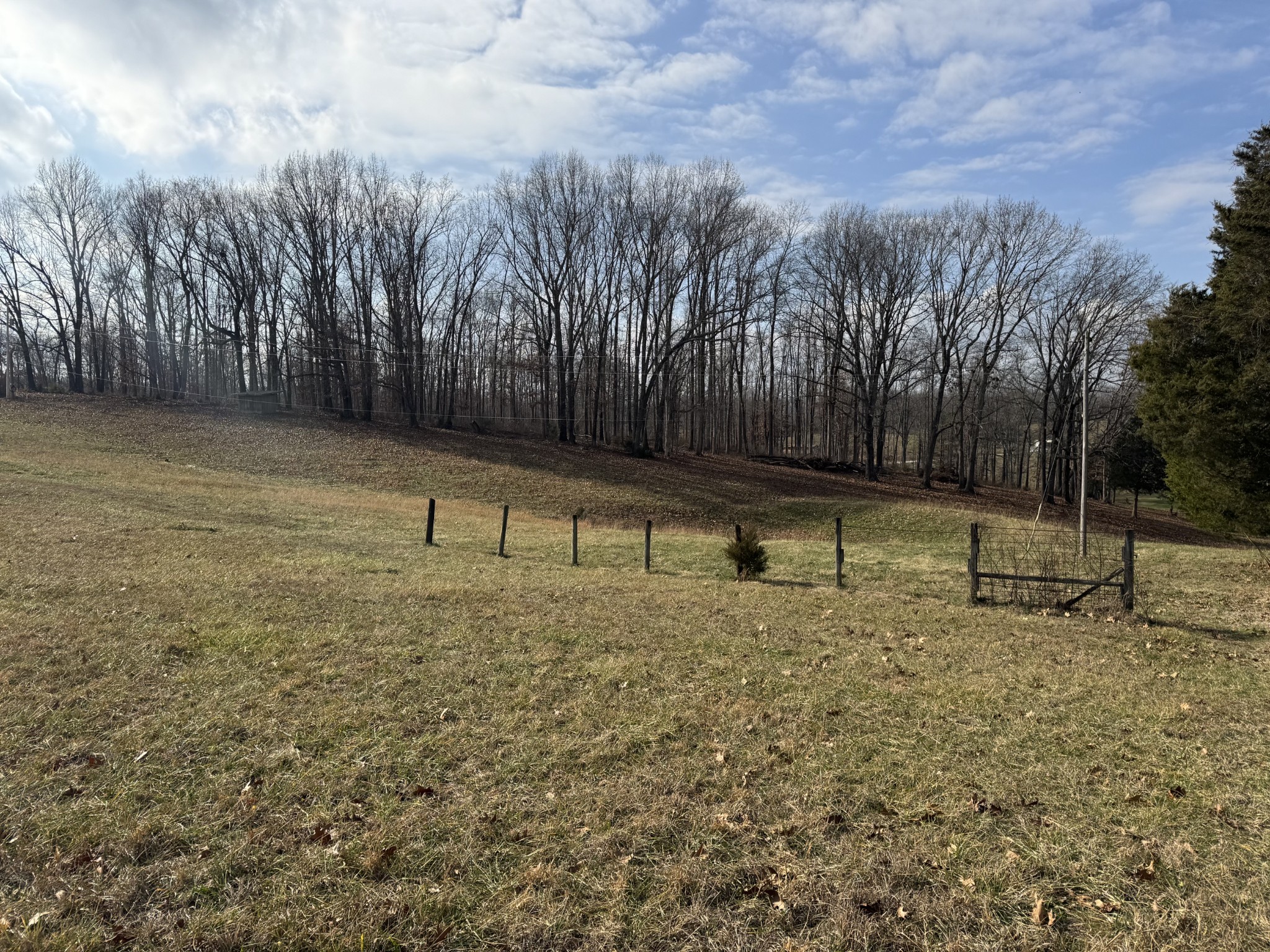 0 Wilson Hollow Road Dickson, TN 37055 - Photo 8 of 11