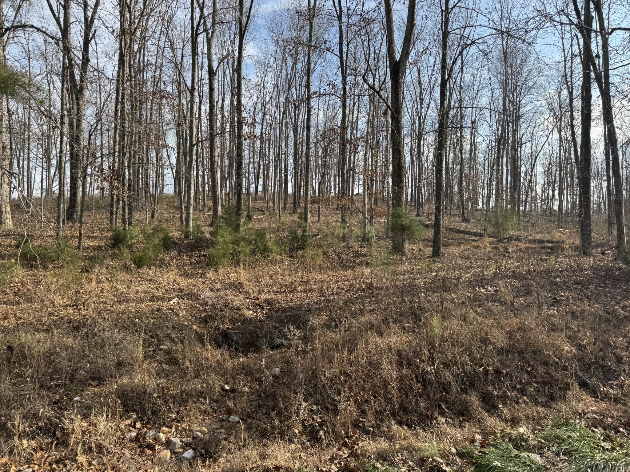 0 Wilson Hollow Road Dickson, TN 37055 - Photo 9 of 11