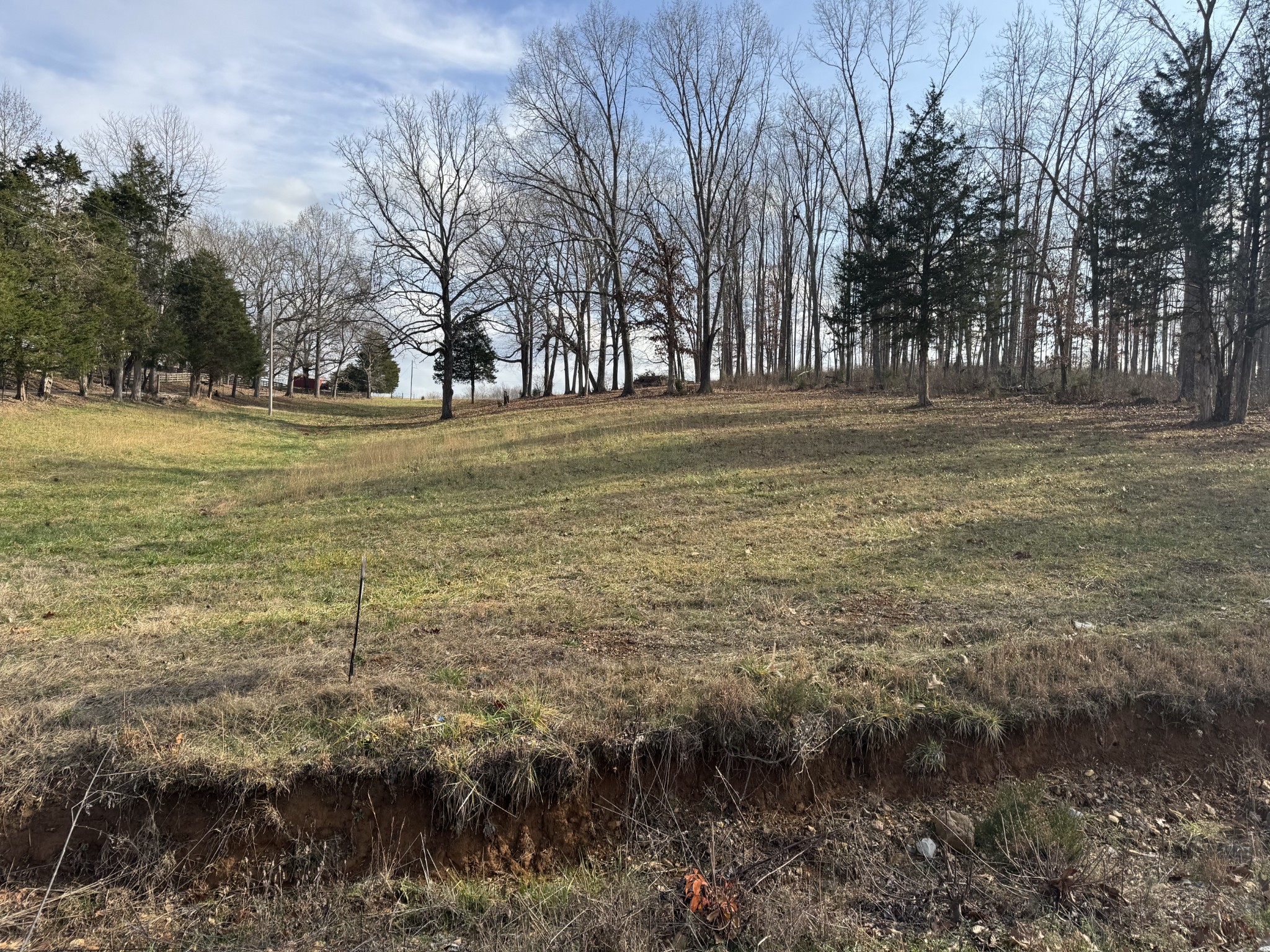 0 Wilson Hollow Road Dickson, TN 37055 - Photo 10 of 11