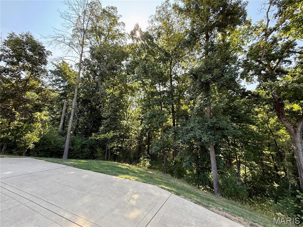 134 Jacks Bend O'Fallon, IL 62269 - Photo 34 of 98