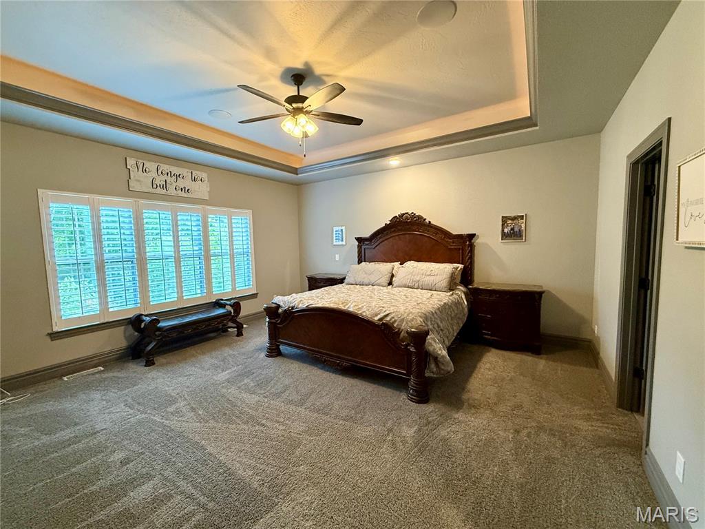 134 Jacks Bend O'Fallon, IL 62269 - Photo 51 of 98