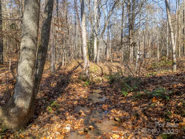 a view of outdoor space and a yard