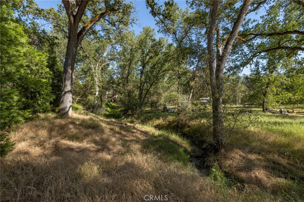 48866 Rock Point Road Oakhurst, CA 93644 - Photo 55 of 59