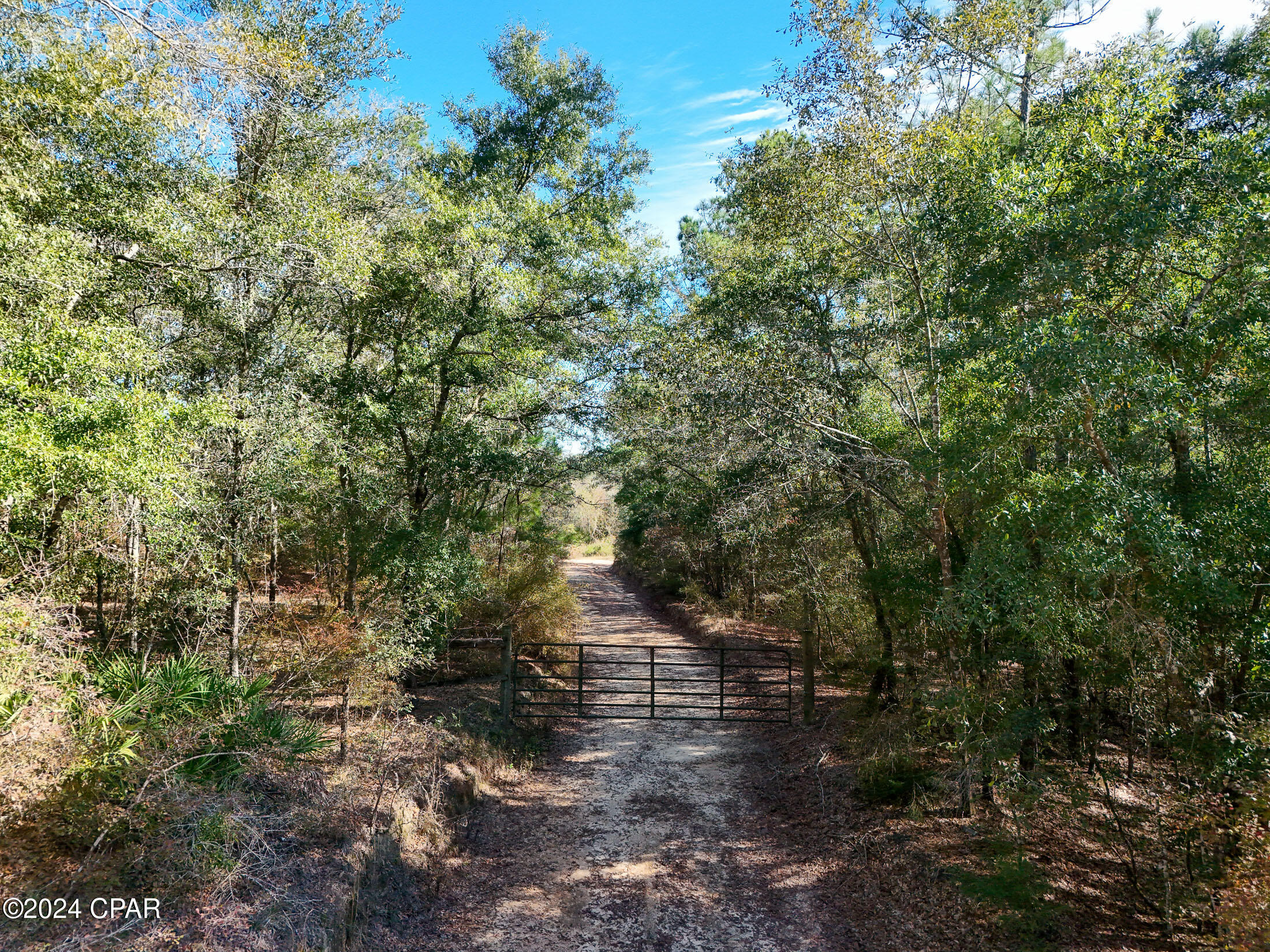 0 Malcolm Taylor Road Bonifay, FL 32425 - Photo 16 of 28