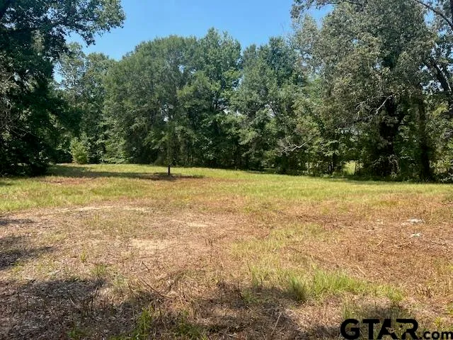 $530,000 | 1918 And 1894 Us Highway South, Diana, TX 75640