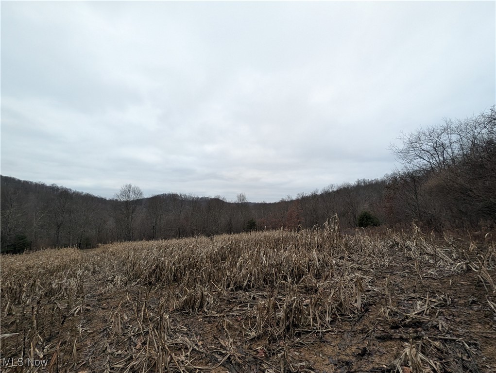 Brown Peavine Road Alledonia, OH 43902 - Photo 22 of 50