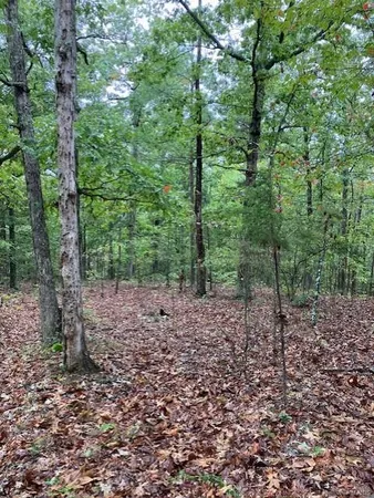$36,900 | 30 Madison Cr, Fredericktown, MO 63645
