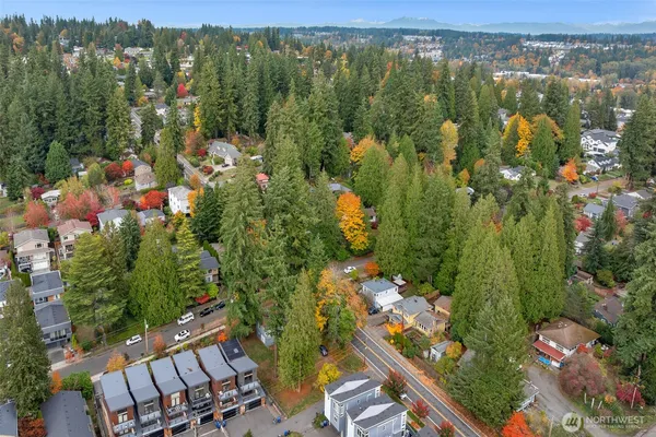 view of a city with lush green forest