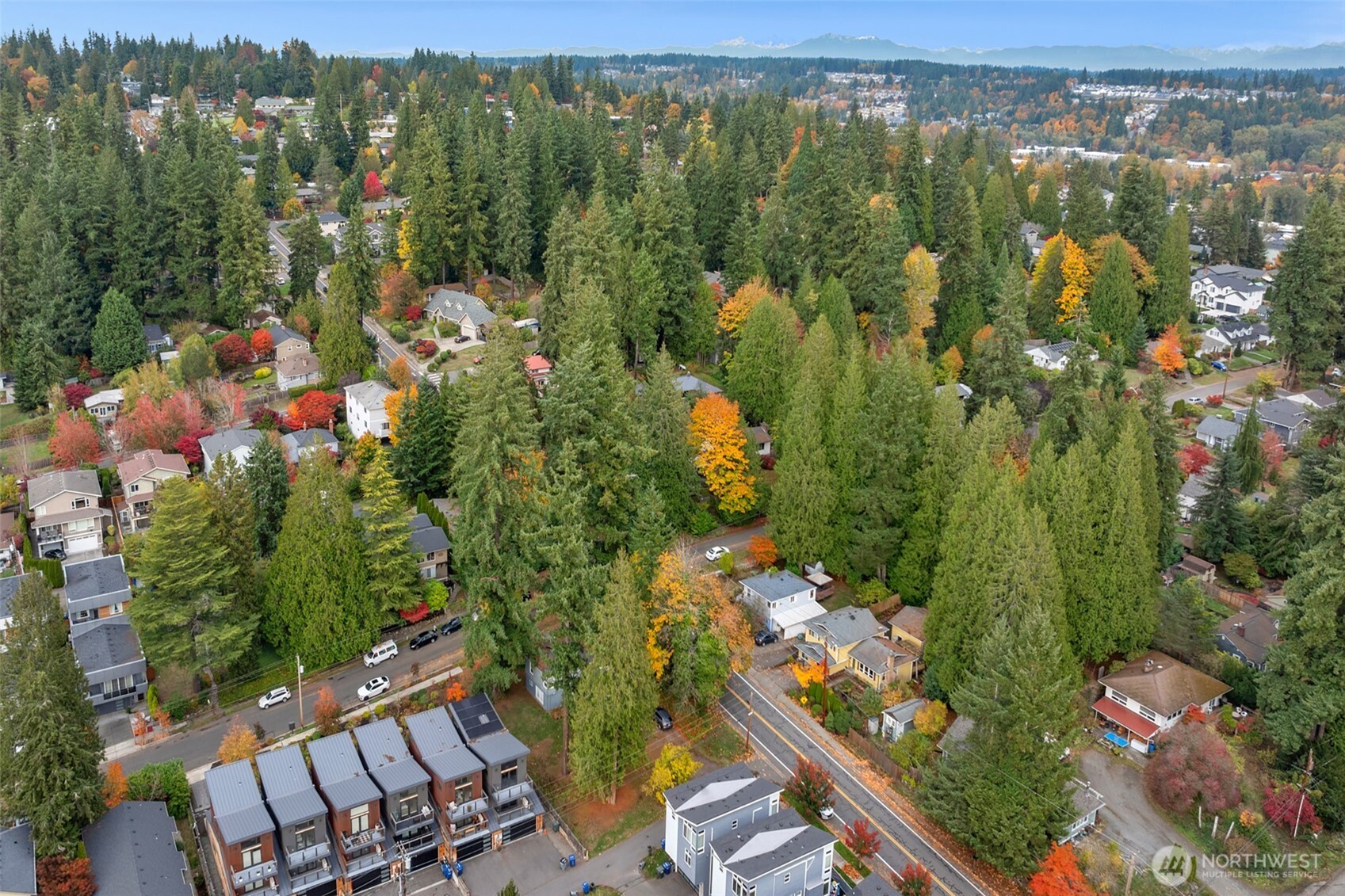 10335 Northeast 189th Street Bothell, WA 98011 - Photo 10 of 11 view of a city with lush green forest