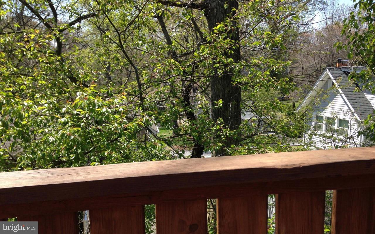 508 Tulip Road Riva, MD 21140 - Photo 19 of 27 View From Deck