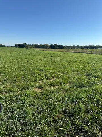 a view of an ocean beach