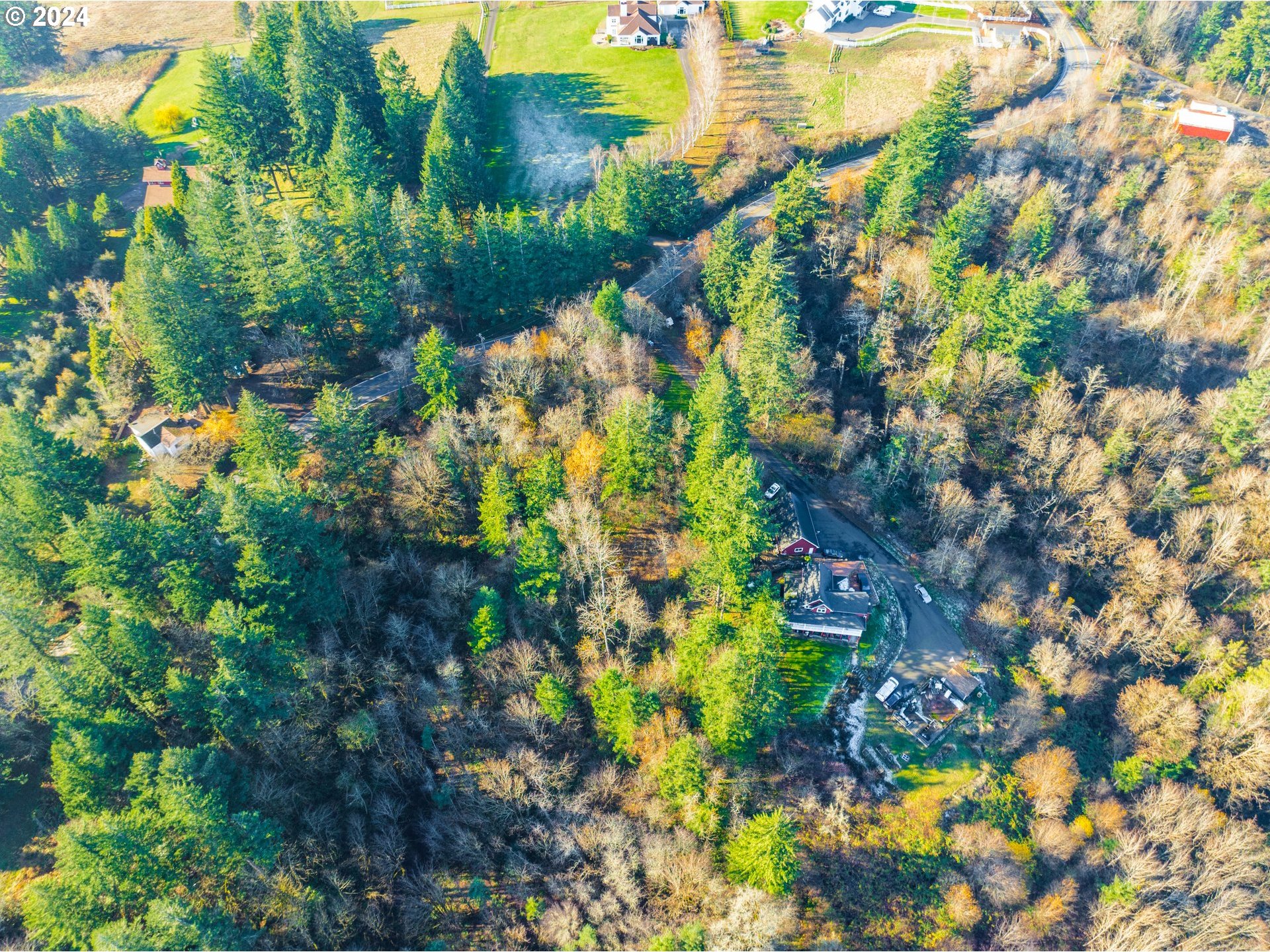 Northwest Skyline Boulevard Portland, OR 97231 - Photo 11 of 24 a view of a tree
