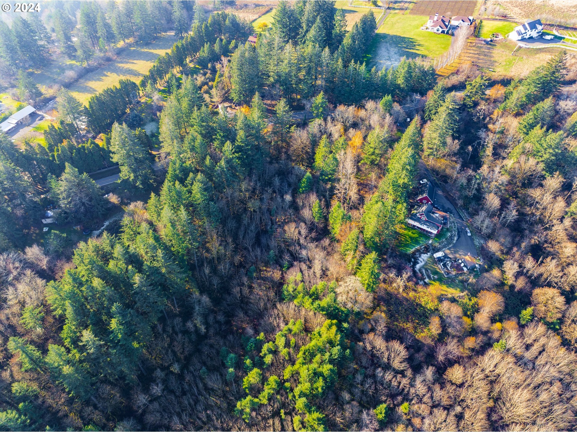 Northwest Skyline Boulevard Portland, OR 97231 - Photo 21 of 24 a view of a bunch of flowers