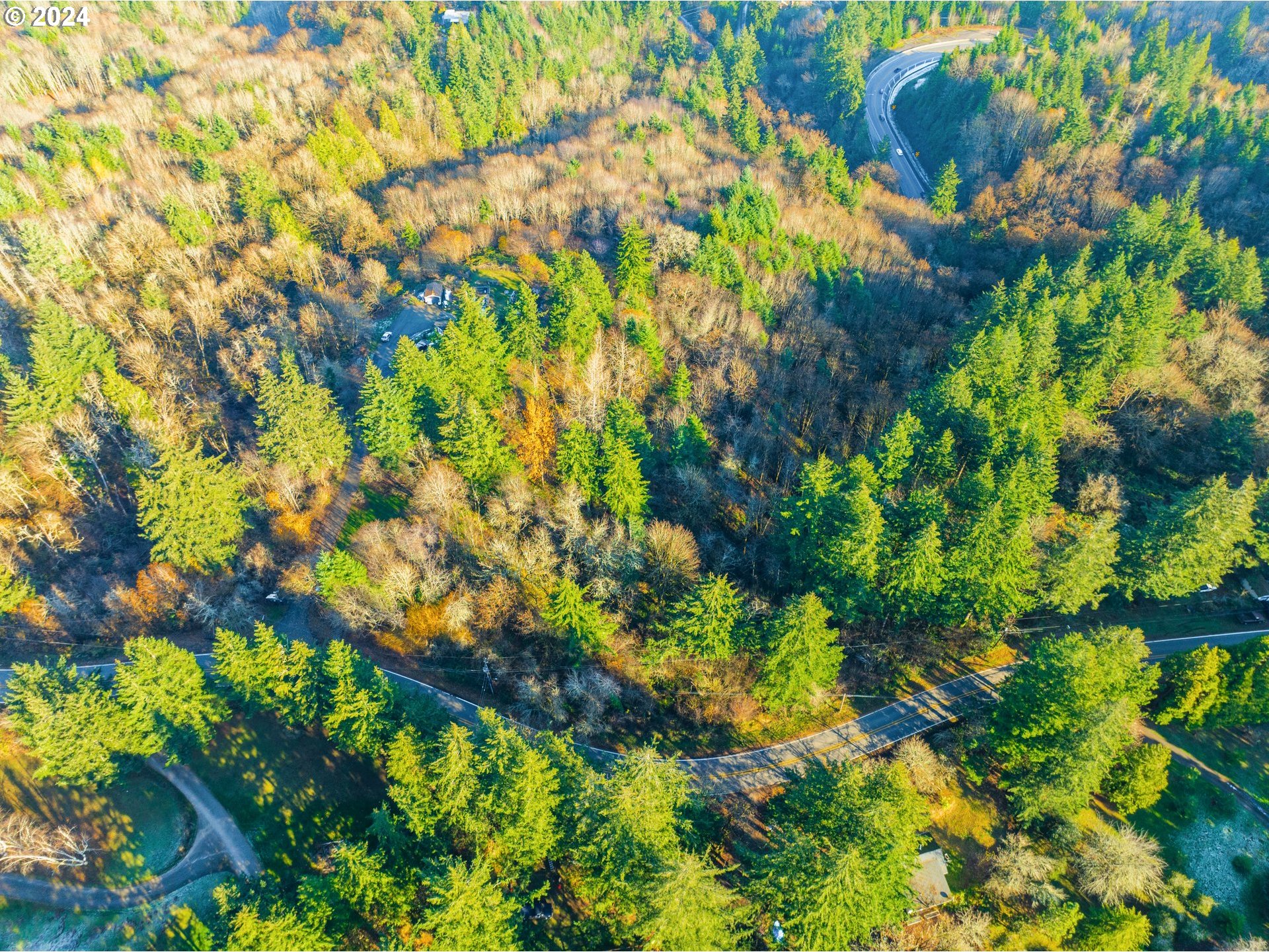 Northwest Skyline Boulevard Portland, OR 97231 - Photo 3 of 24 a view of a tree