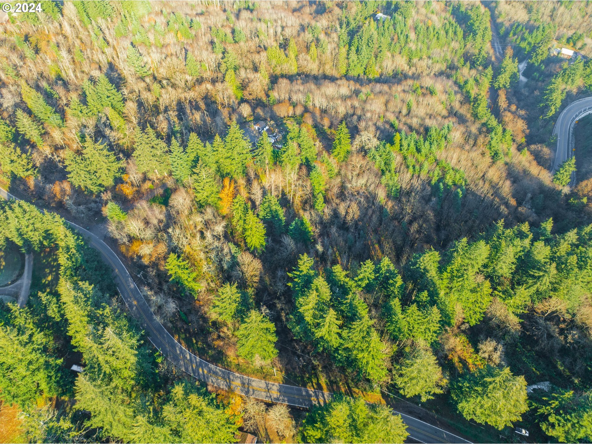 Northwest Skyline Boulevard Portland, OR 97231 - Photo 5 of 24 a backyard of a house