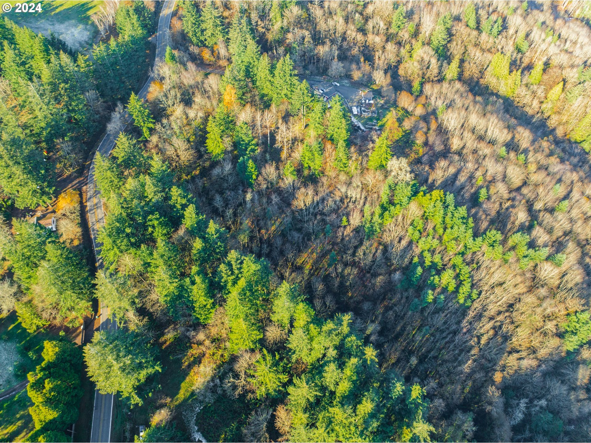 Northwest Skyline Boulevard Portland, OR 97231 - Photo 7 of 24 a backyard of a house with lots of green space and garden