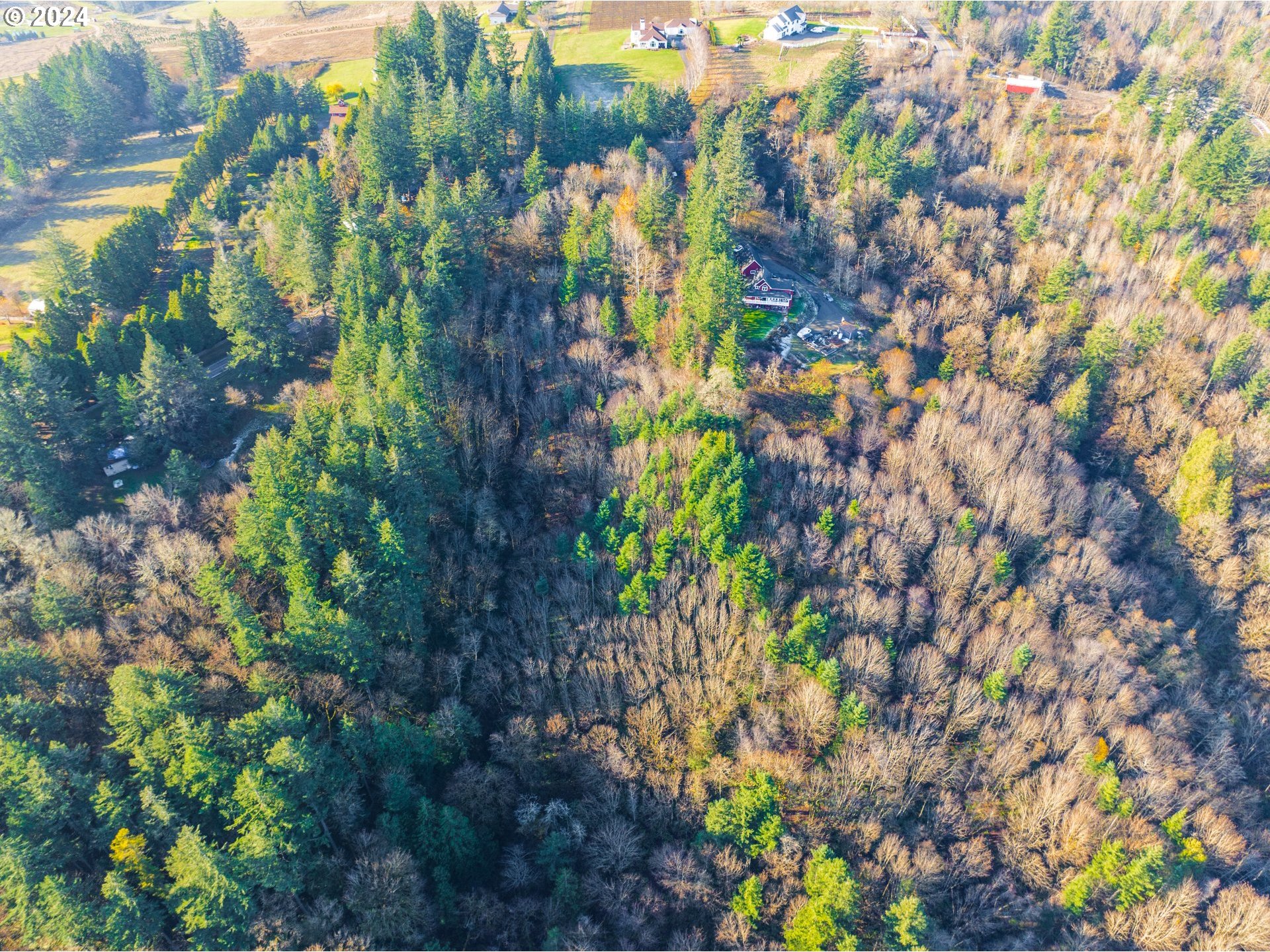 Northwest Skyline Boulevard Portland, OR 97231 - Photo 9 of 24 a backyard of a house with lots of green space