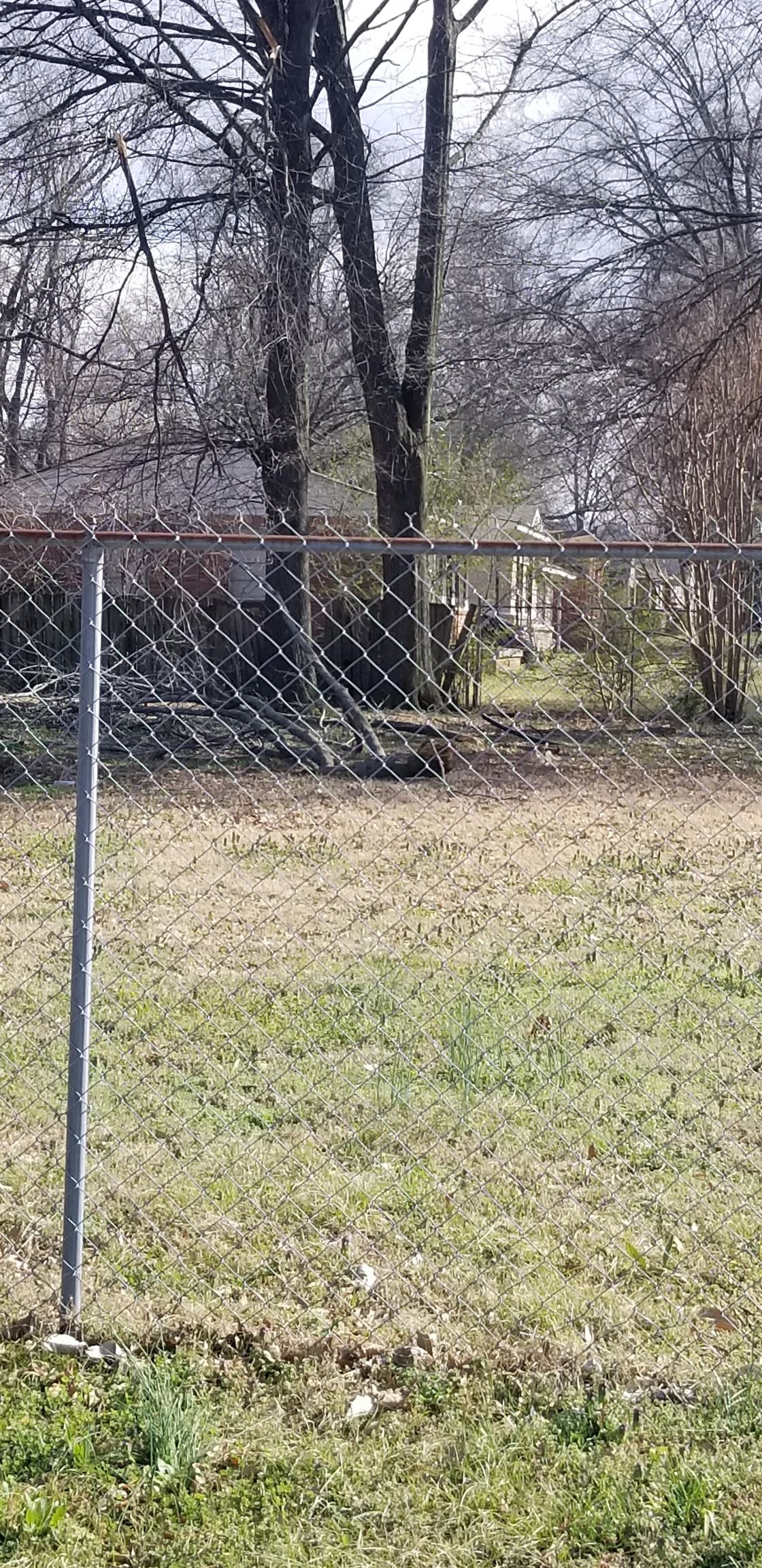 1643 Buxton Road Memphis, TN 38116 - Photo 3 of 5