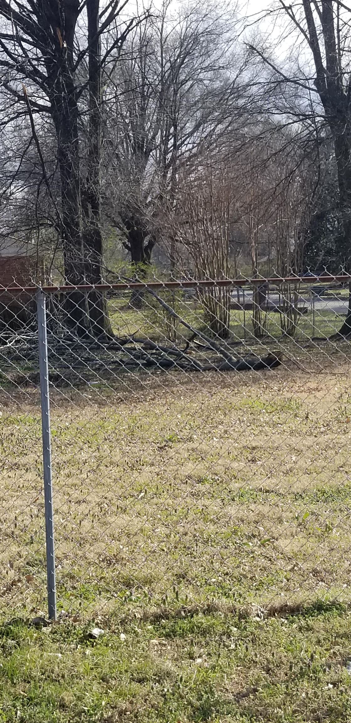 1643 Buxton Road Memphis, TN 38116 - Photo 5 of 5