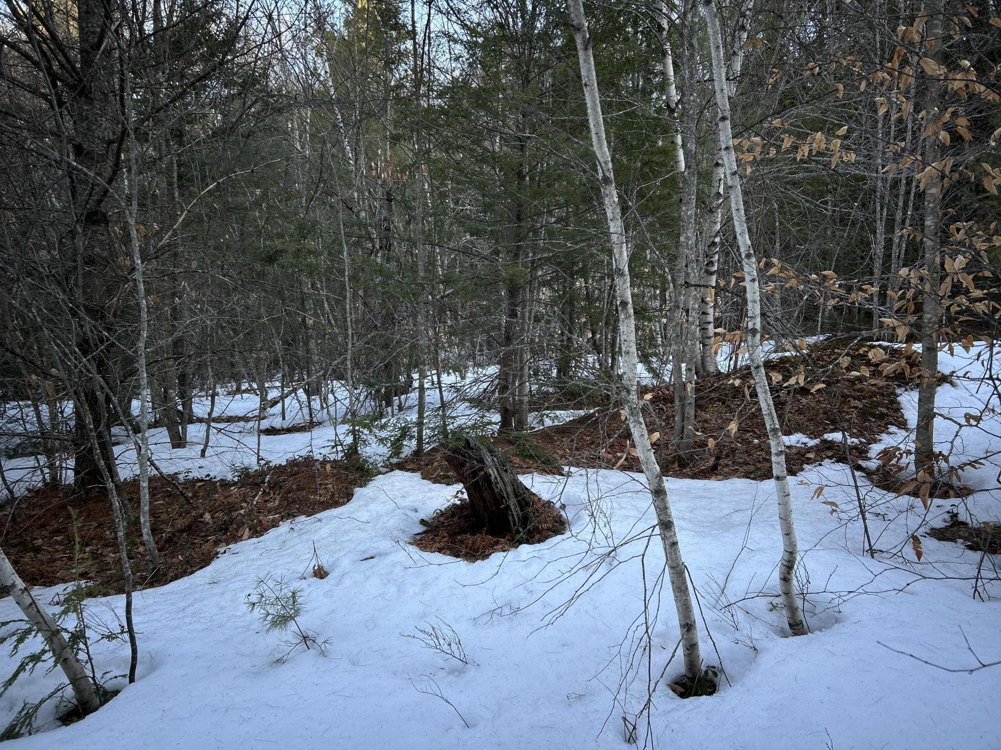 Map13-lot11 Field View Road Fryeburg, ME 04037 - Photo 36 of 37