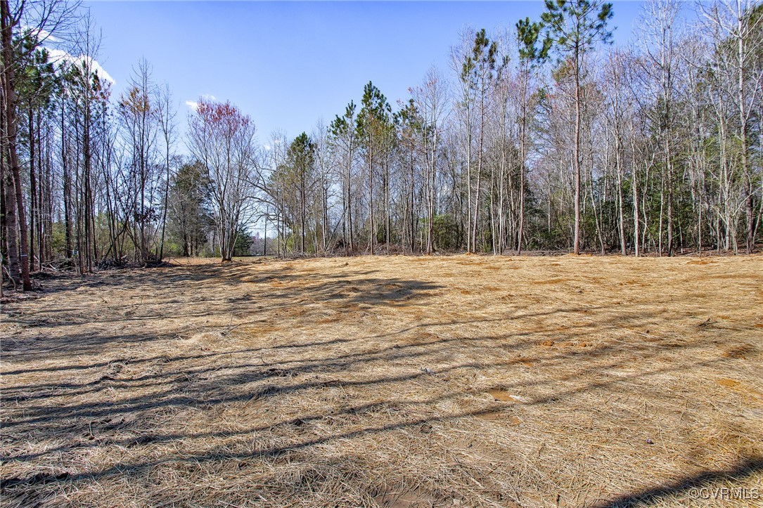 8011 Courthouse Road Providence Forge, VA 23140 - Photo 26 of 29 View of landscape