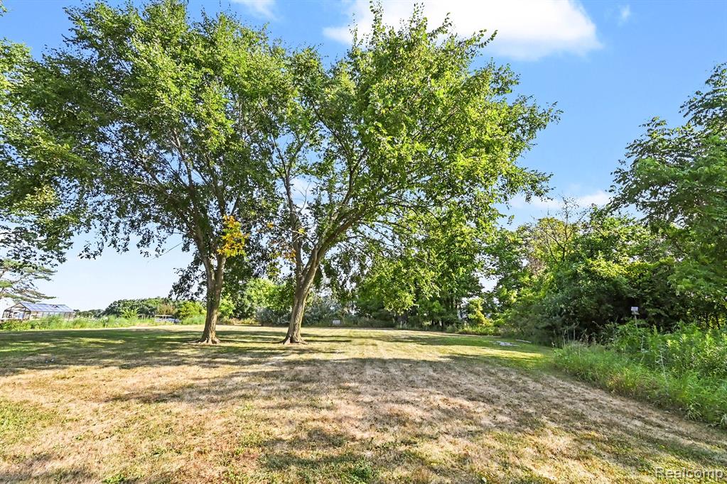 4815 Lytle Road Corunna, MI 48817 - Photo 4 of 31 Gallery Image 4