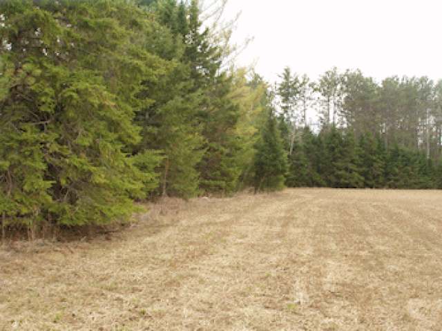 On Hicks Landing Road Fifield, WI 54524 - Photo 1 of 6 Gallery Image 1