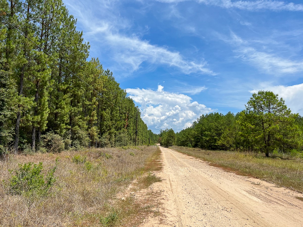 0 Lost Indian Camp Road Huntsville, TX 77320 - Photo 5 of 12