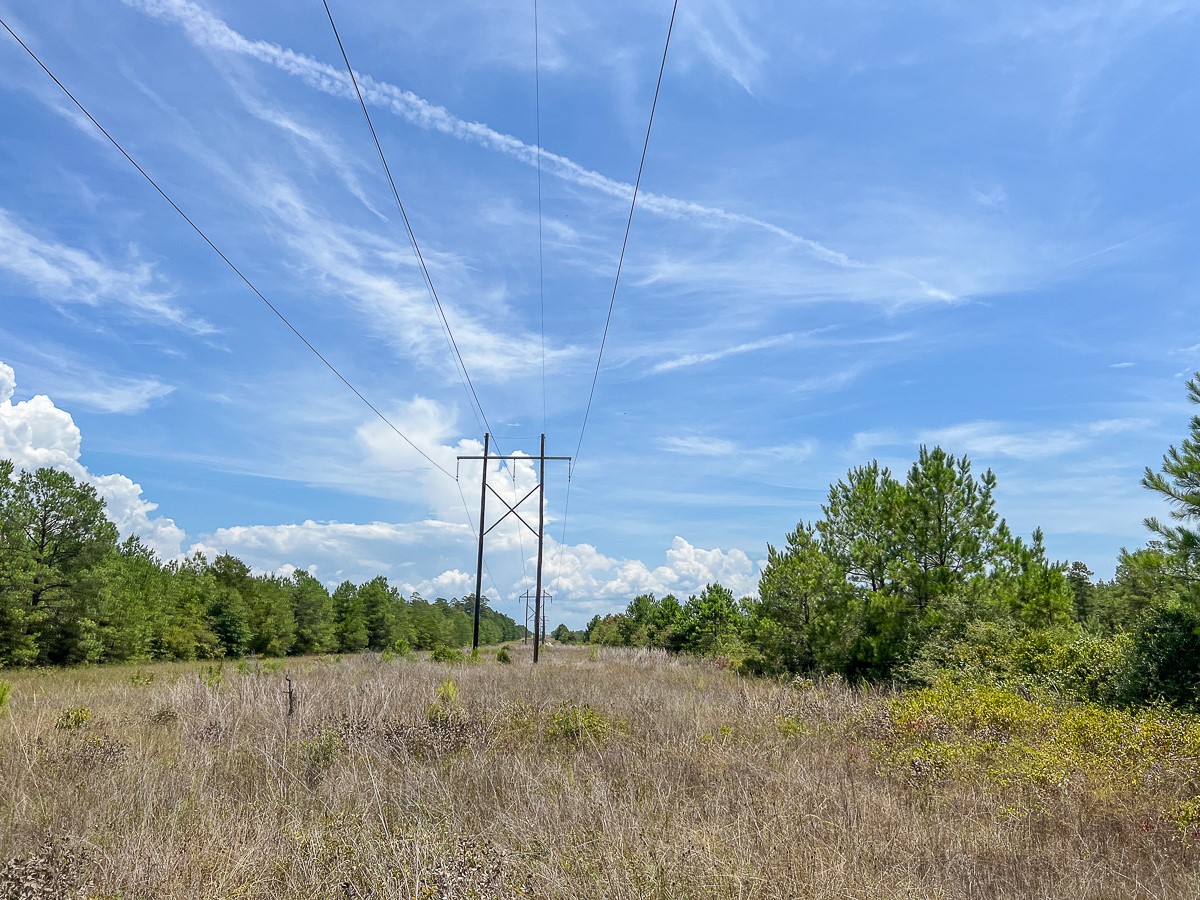 0 Lost Indian Camp Road Huntsville, TX 77320 - Photo 7 of 12