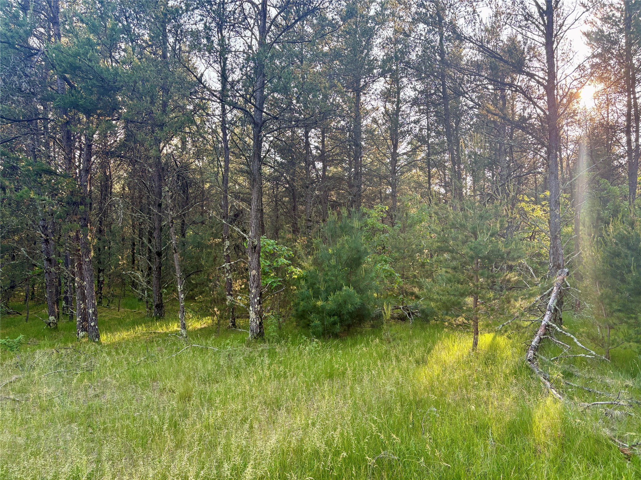 0 Cty Road Augusta, WI 54722 - Photo 33 of 53