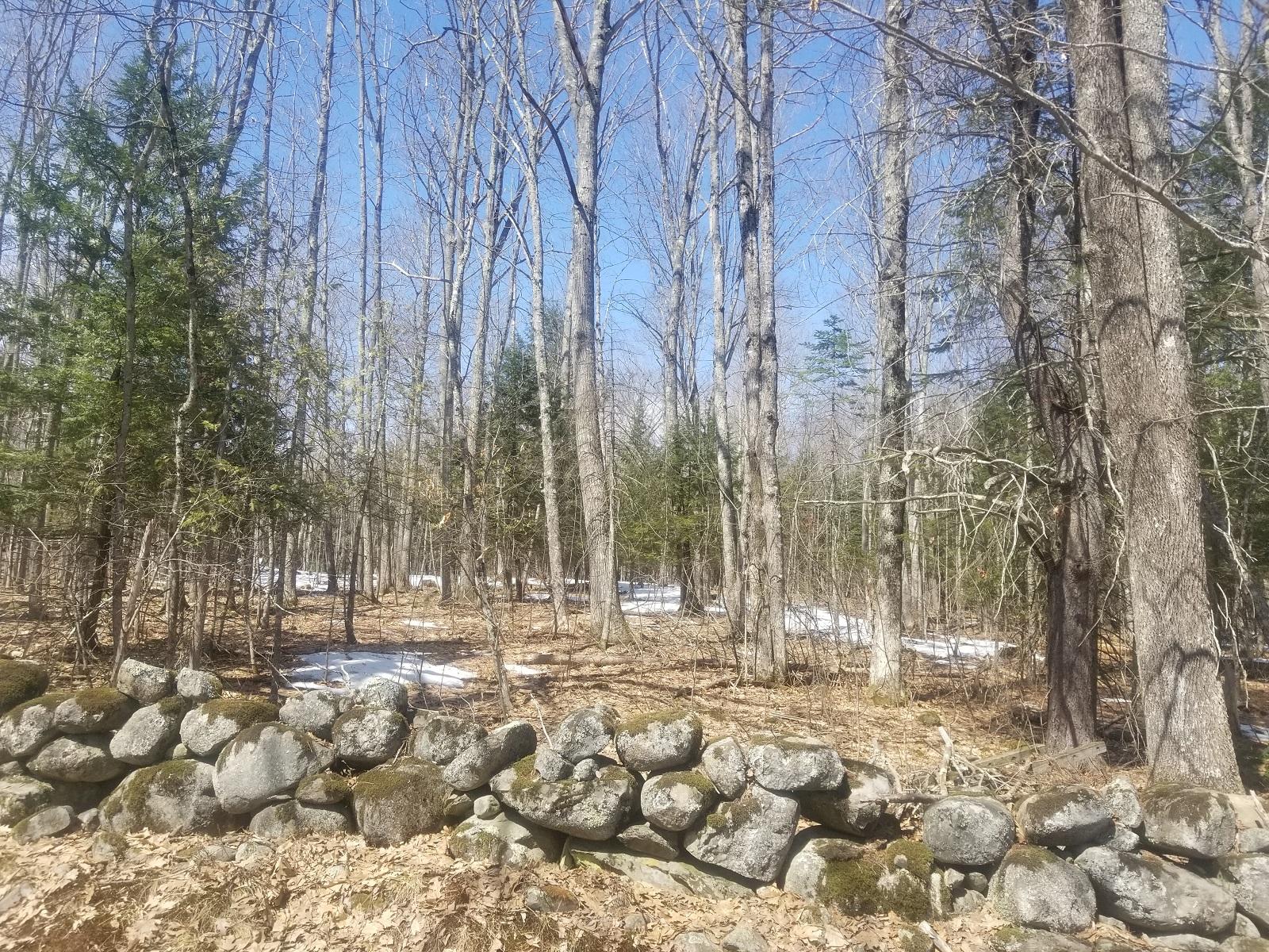 5 Map Road Cornville, ME 04976 - Photo 10 of 13 9