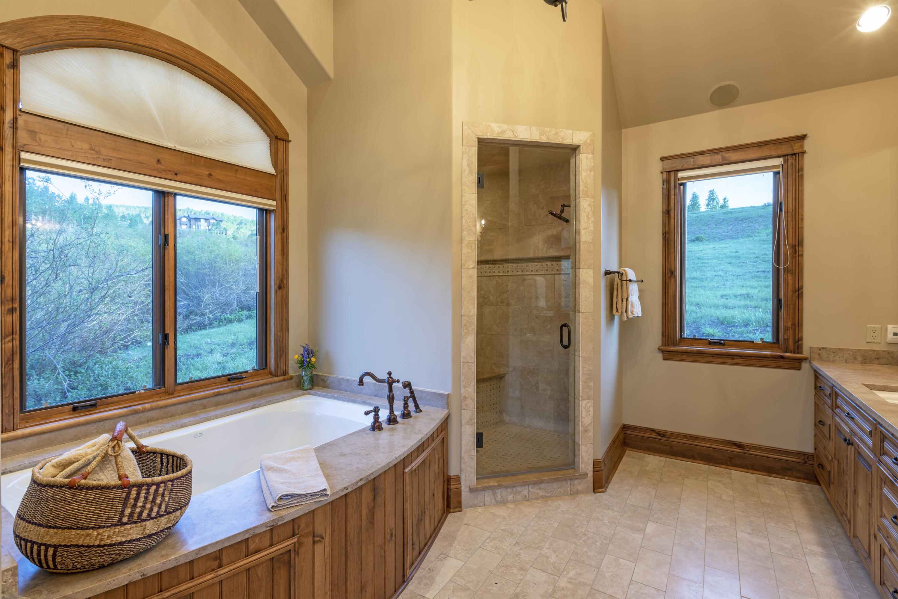 160 Adams Ranch Road Mountain Village, CO 81435 - Photo 14 of 24 MBath