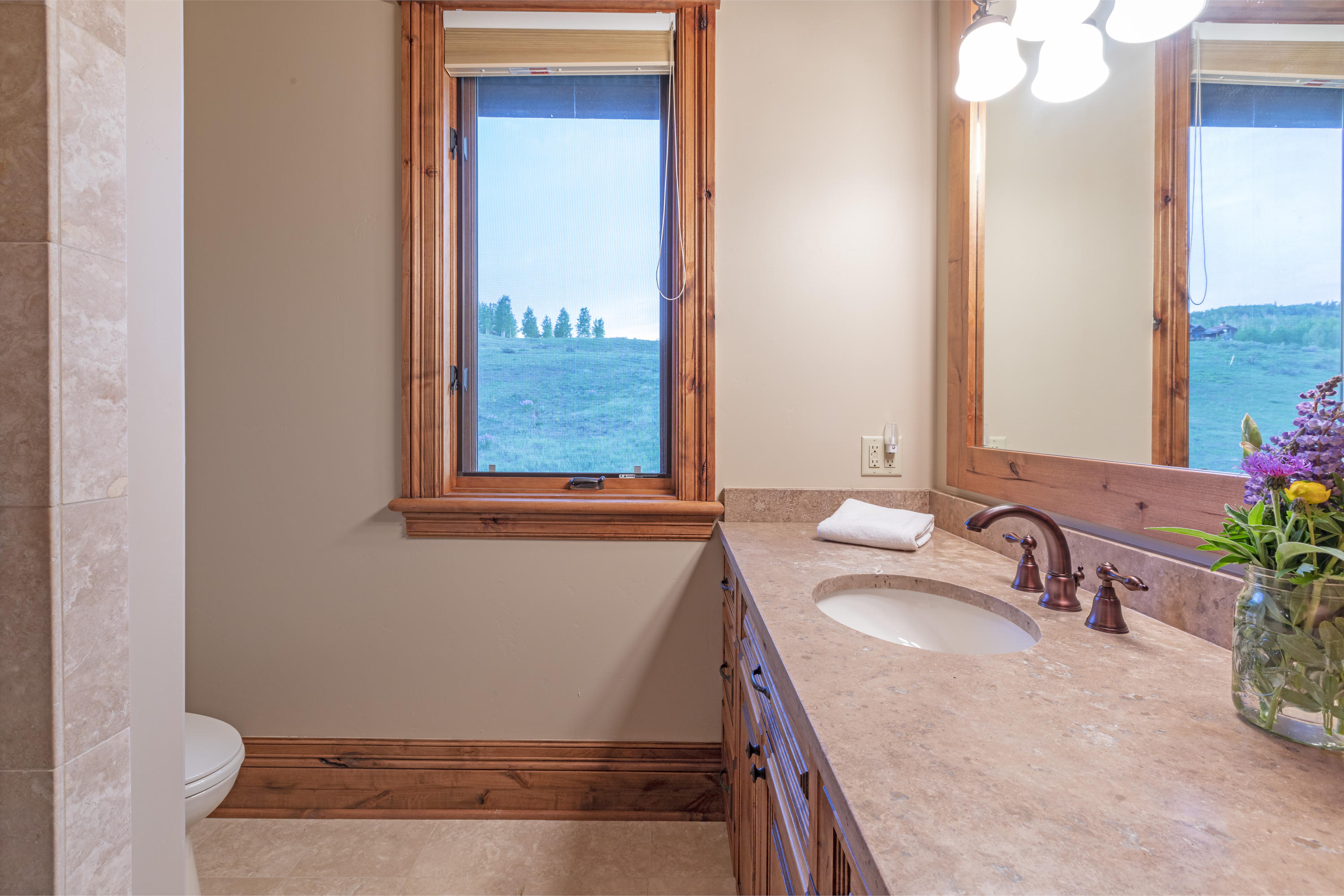 160 Adams Ranch Road Mountain Village, CO 81435 - Photo 22 of 24 GBathII