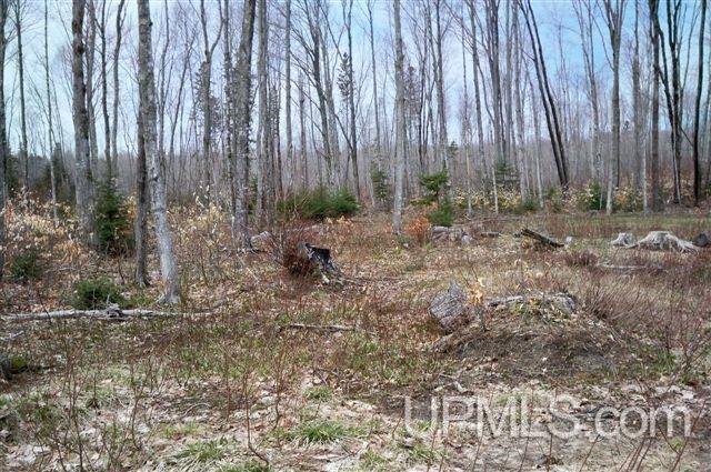 E13901 Cemetery Road Grand Marais, MI 49839 - Photo 24 of 27 Gallery Image 24