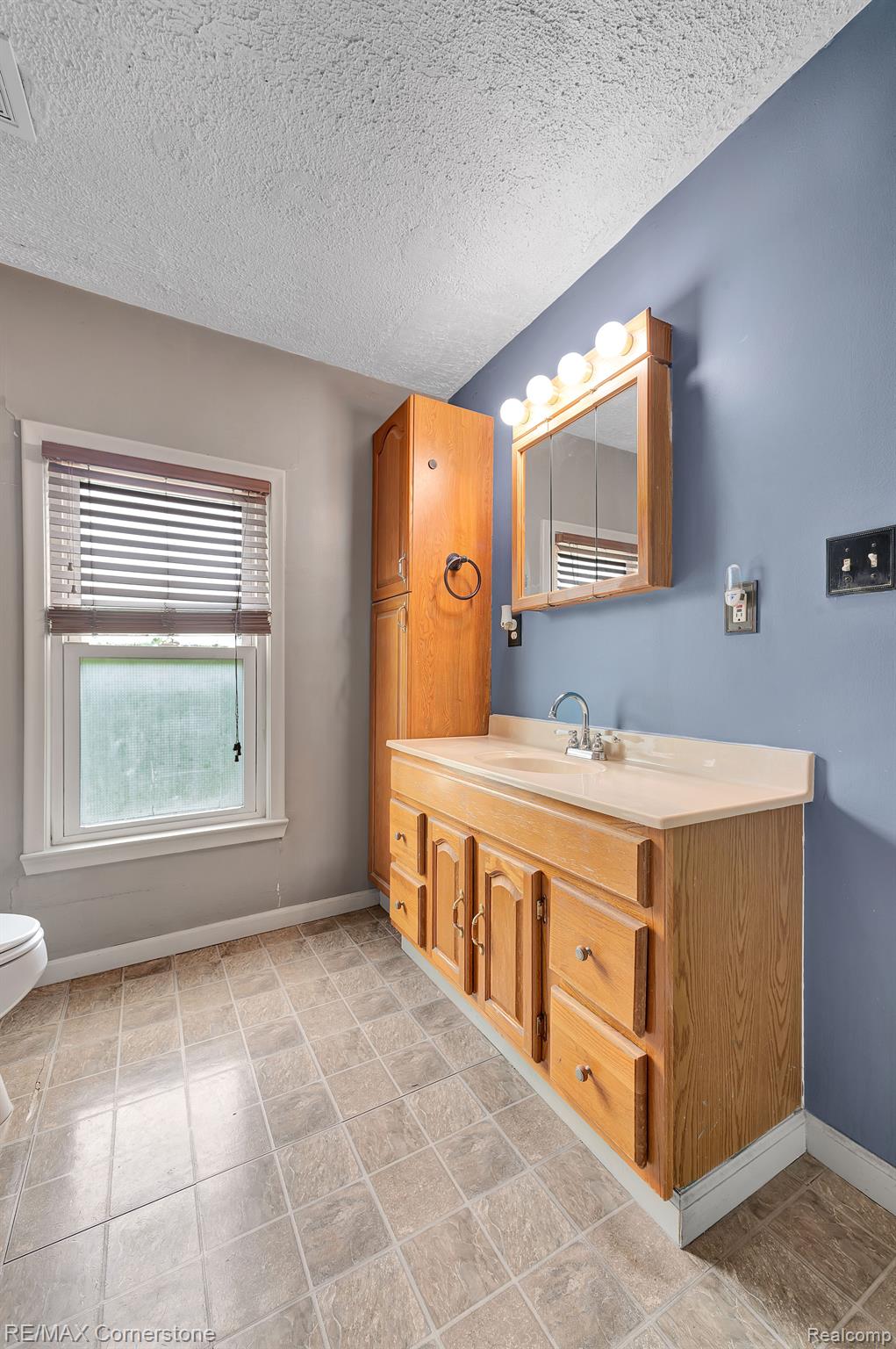 1344 North Sheldon Road Canton, MI 48187 - Photo 12 of 34 Spacious Bathroom