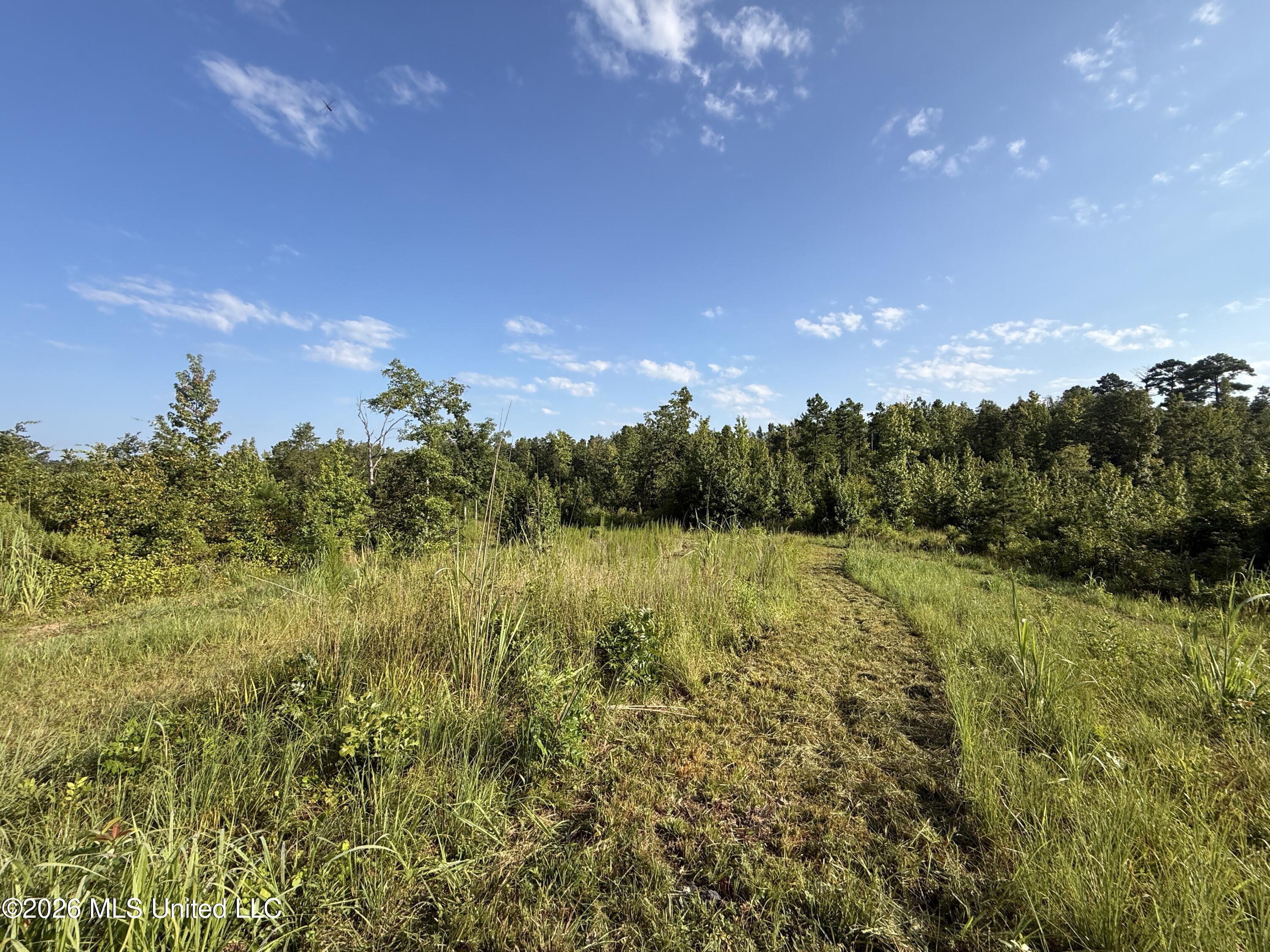 4102 Co Road Sallis, MS 39160 - Photo 4 of 35 3 (1)